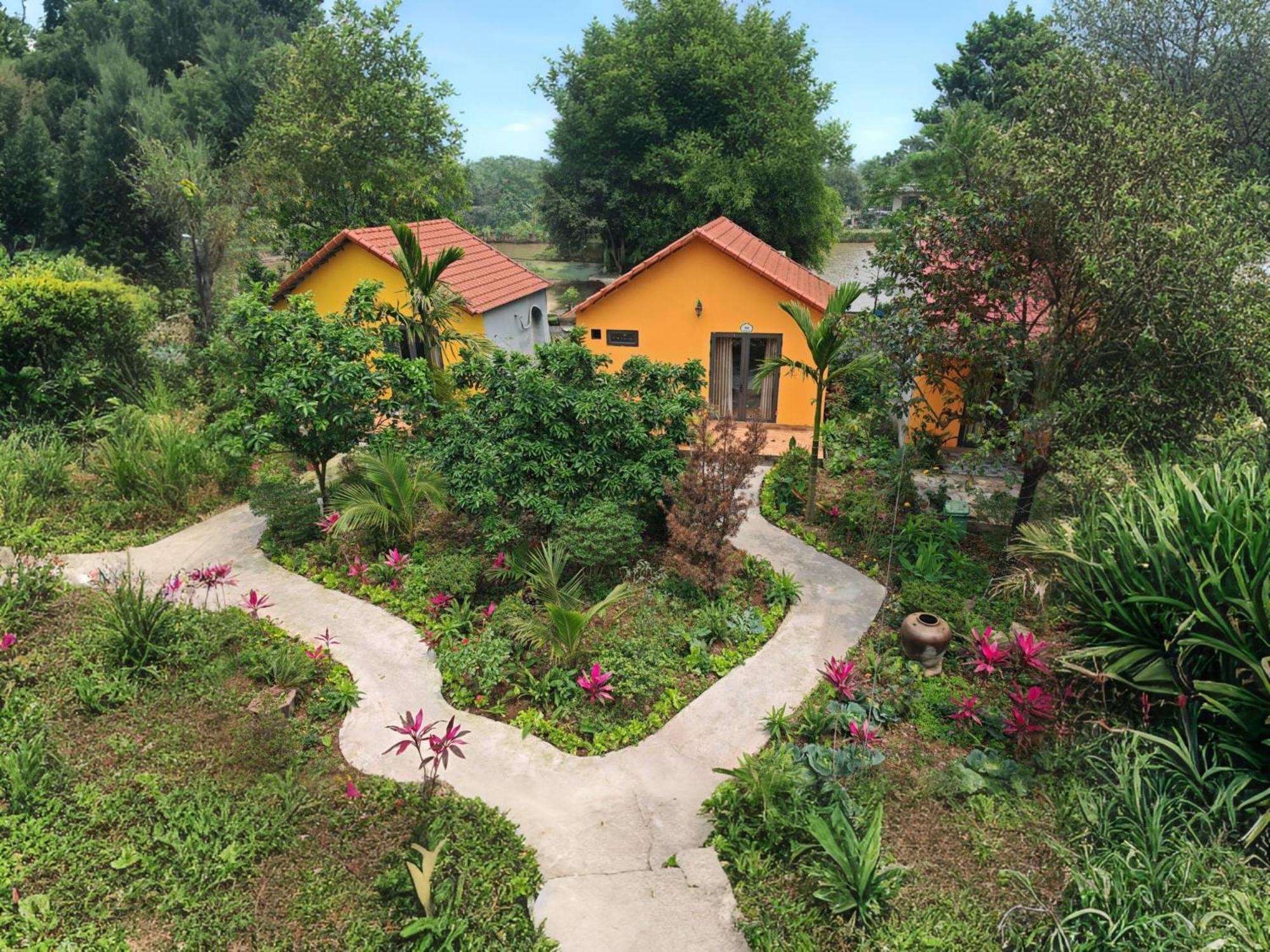 فيلا Ninh Binh Peaceful Retreat المظهر الخارجي الصورة